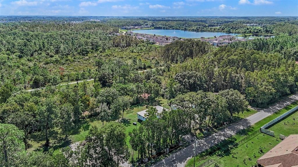 Sierra Pines Blvd, Lutz, FL 33558 #1