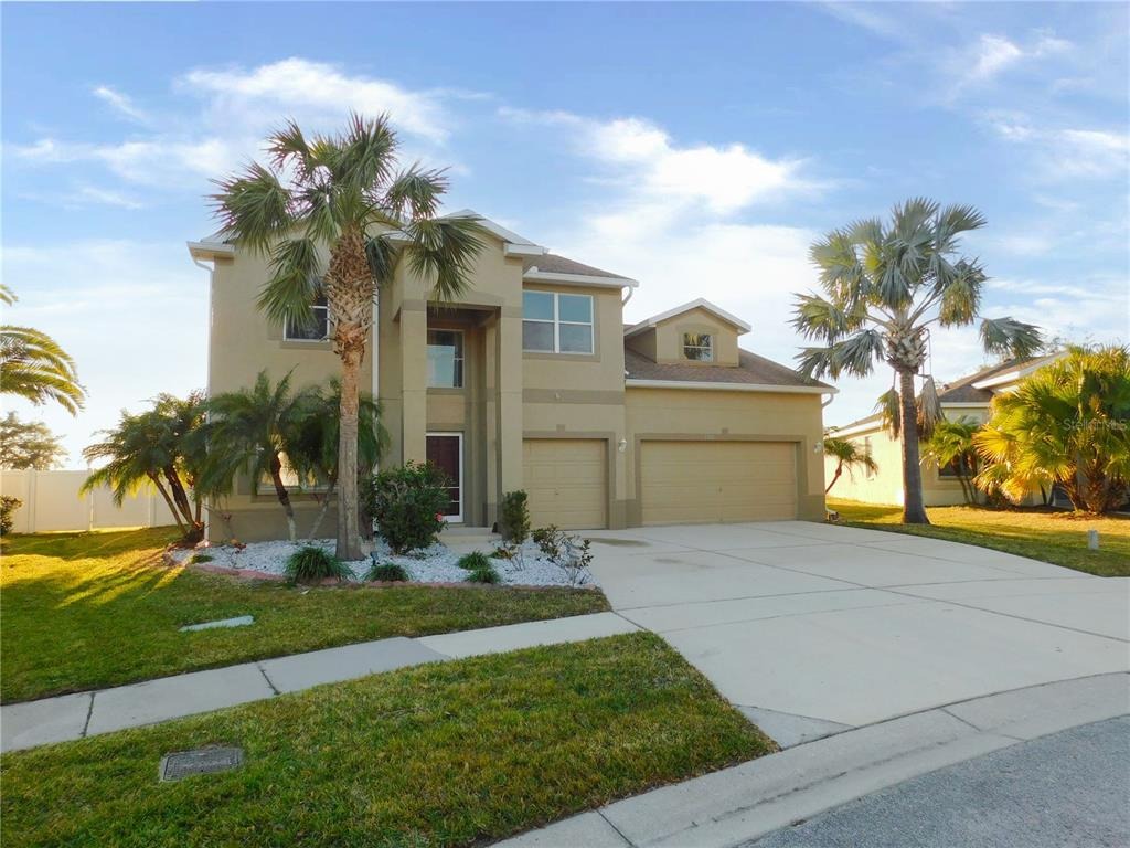 Holly Cone Dr, Riverview, FL 33569