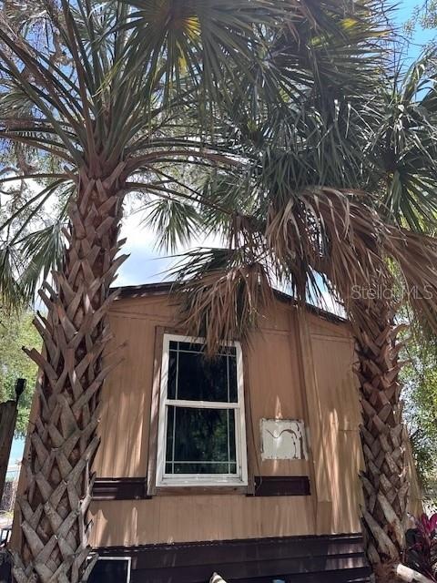 Celeste Ln, New Port Richey, FL 34653