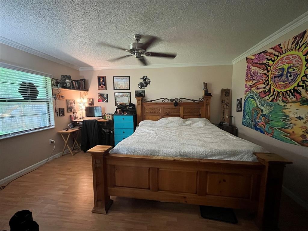 Matthew Dr, New Port Richey, FL 34653 #1