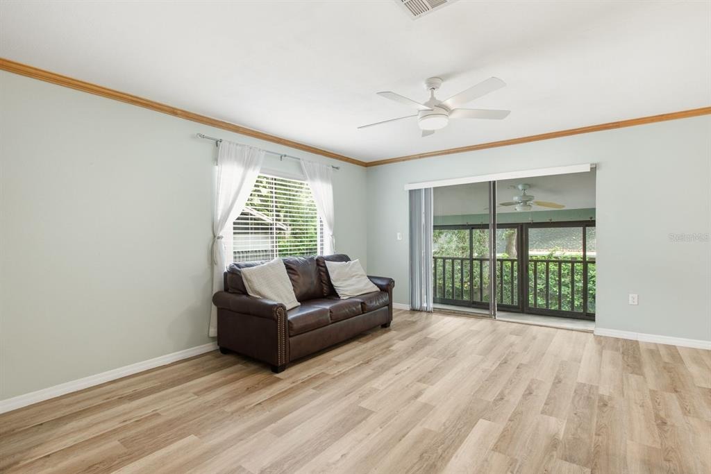 Mistletoe Ct, Safety Harbor, FL 34695 #1