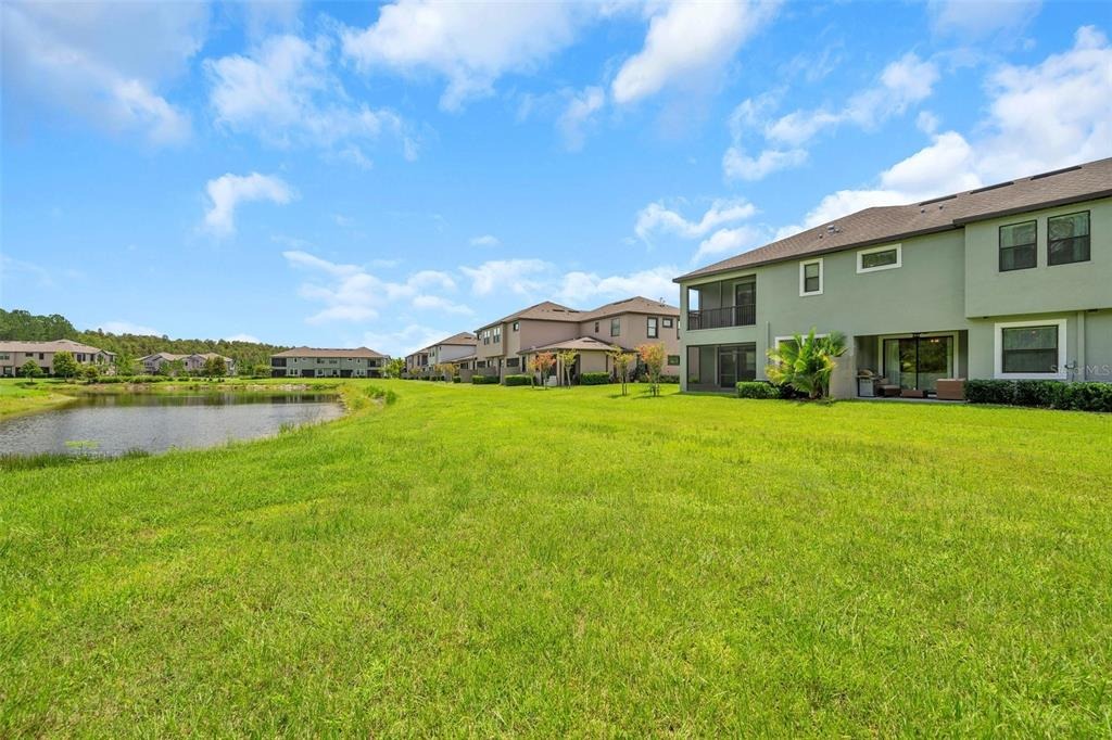 San Martino Dr, Wesley Chapel, FL 33543 #1