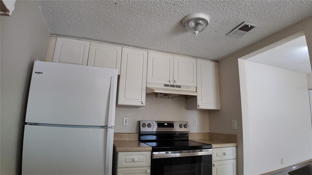 Oleander Flower Ln, Tampa, FL 33614 #1