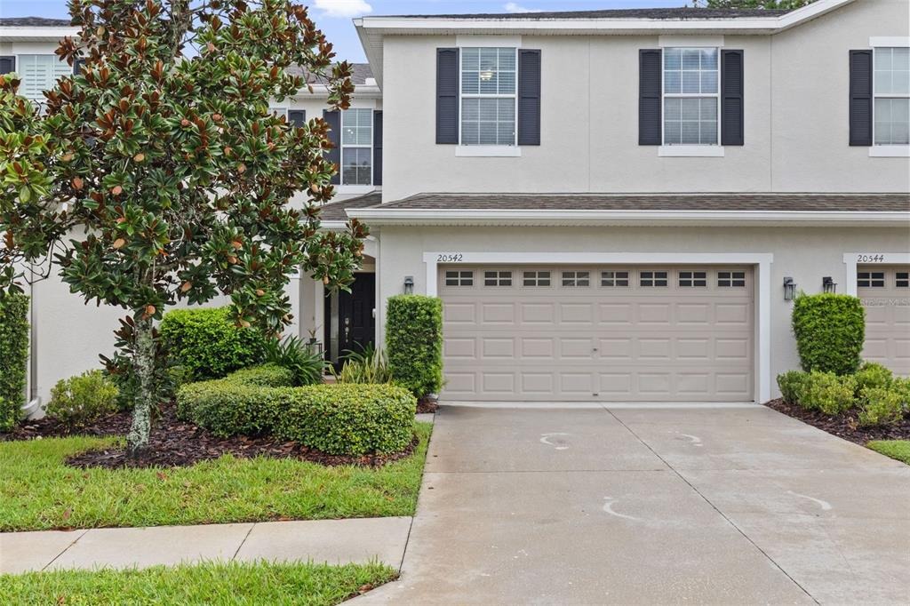 Grand Vista Ln, Tampa, FL 33647