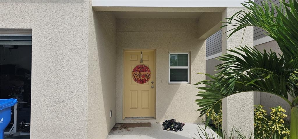 Starflower Way, Wesley Chapel, FL 33545 #1