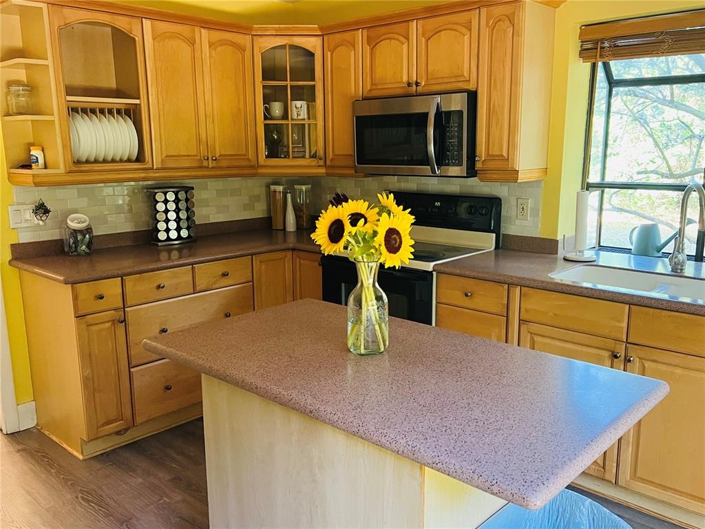 Lake Cypress Dr, Safety Harbor, FL 34695 #1