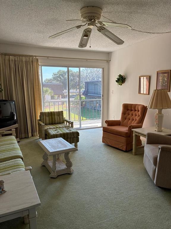Cognac Dr, New Port Richey, FL 34653 #1
