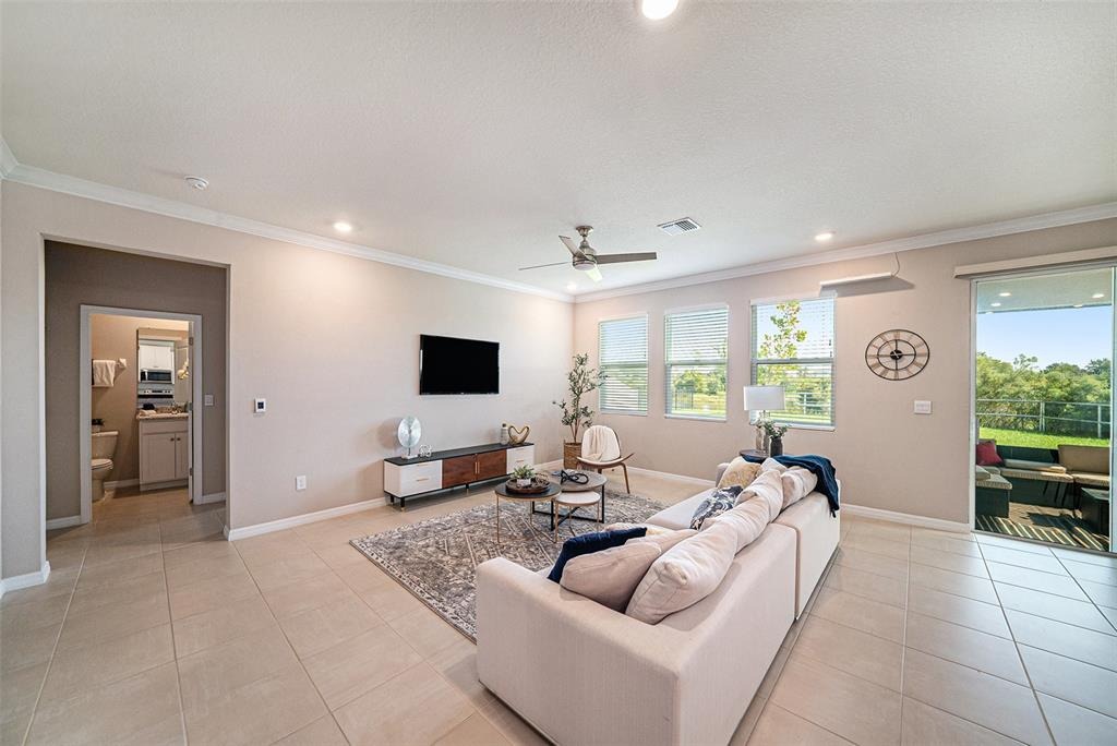 Thistle Field Ct, Wesley Chapel, FL 33545 #1