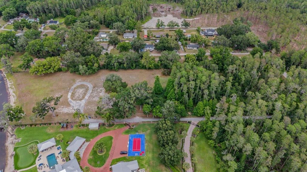 Lake Brant Dr, Lutz, FL 33548 #1