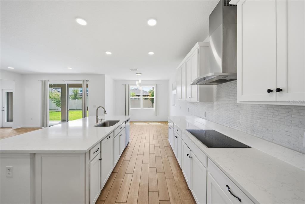 Notched Pine Bnd, Wesley Chapel, FL 33545 #1