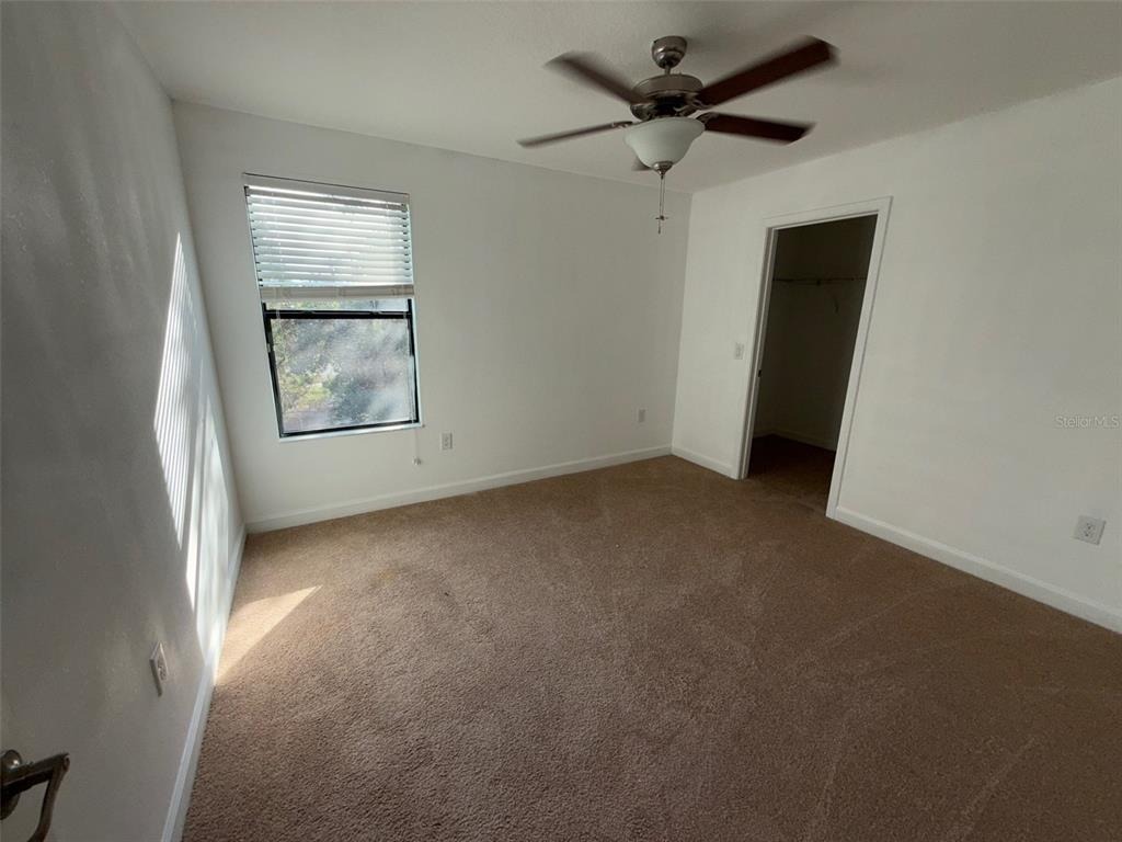 Terra Vista St, Brandon, FL 33511 #1