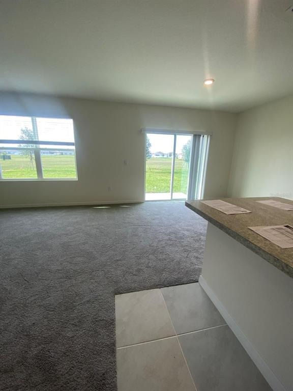 Silver Palm Dr, Haines City, FL 33844 #1