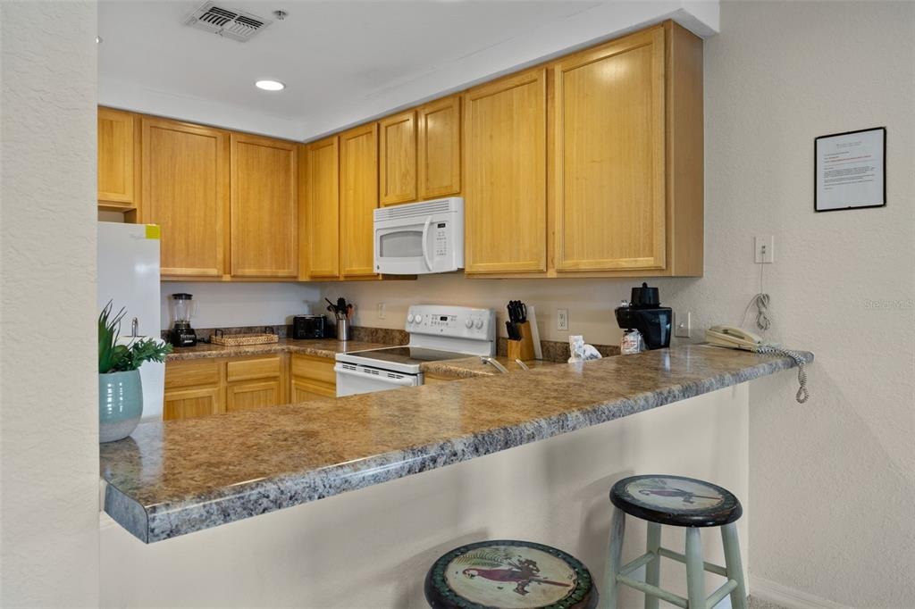 Pirates Retreat Ct, Kissimmee, FL 34747 #1