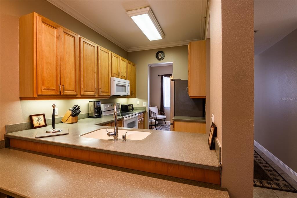 Dali Ave, Land O Lakes, FL 34637 #1