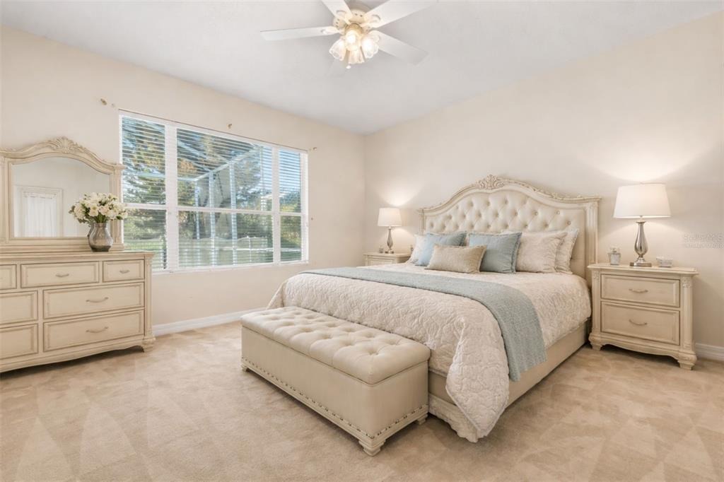 Dove Creek Dr, Tampa, FL 33647 #1