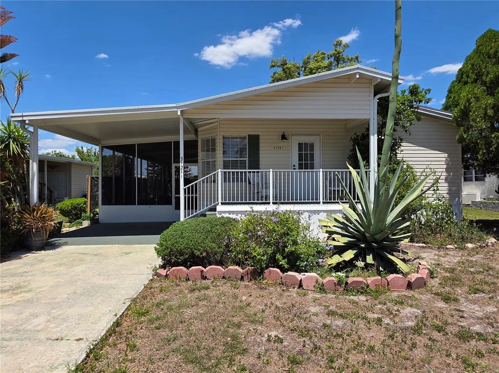 Lois Ave, Zephyrhills, FL 33542