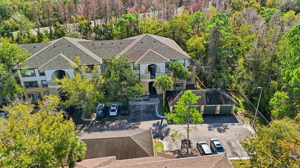 Carrington Park Dr, Tampa, FL 33647