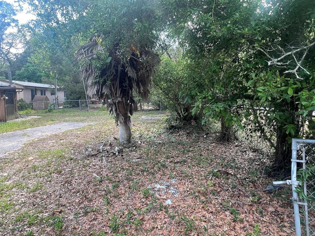Fort King St, Silver Springs, FL 34488 #1