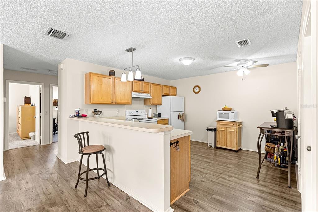 94th Sunnybrook Cir, The Villages, FL 32162 #1