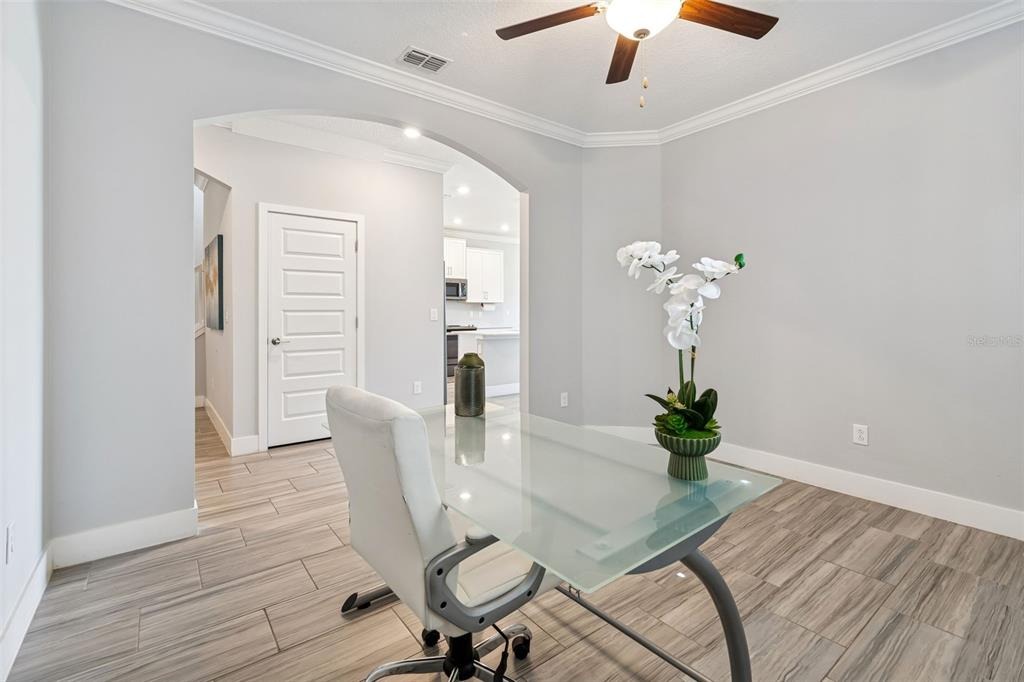 Little Bluestem Dr, Land O Lakes, FL 34637 #1