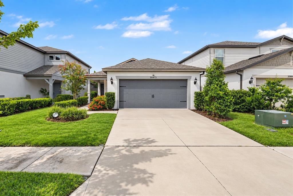 Drake Elm Dr, Land O Lakes, FL 34638