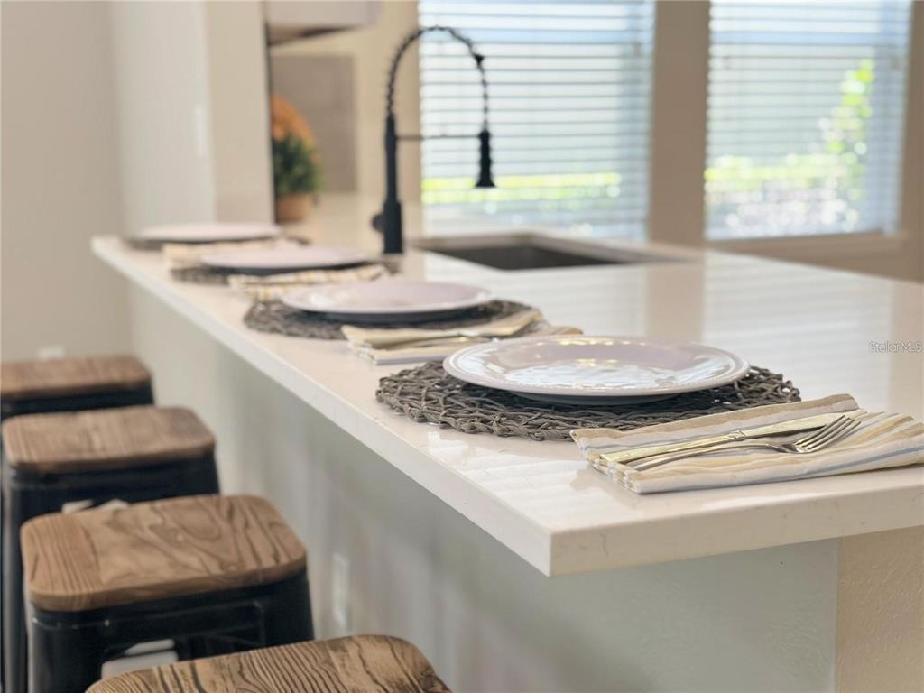 Lake District Ln, Orlando, FL 32832 #1
