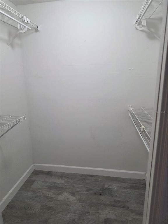 Peregrine Ave, Orlando, FL 32819 #1