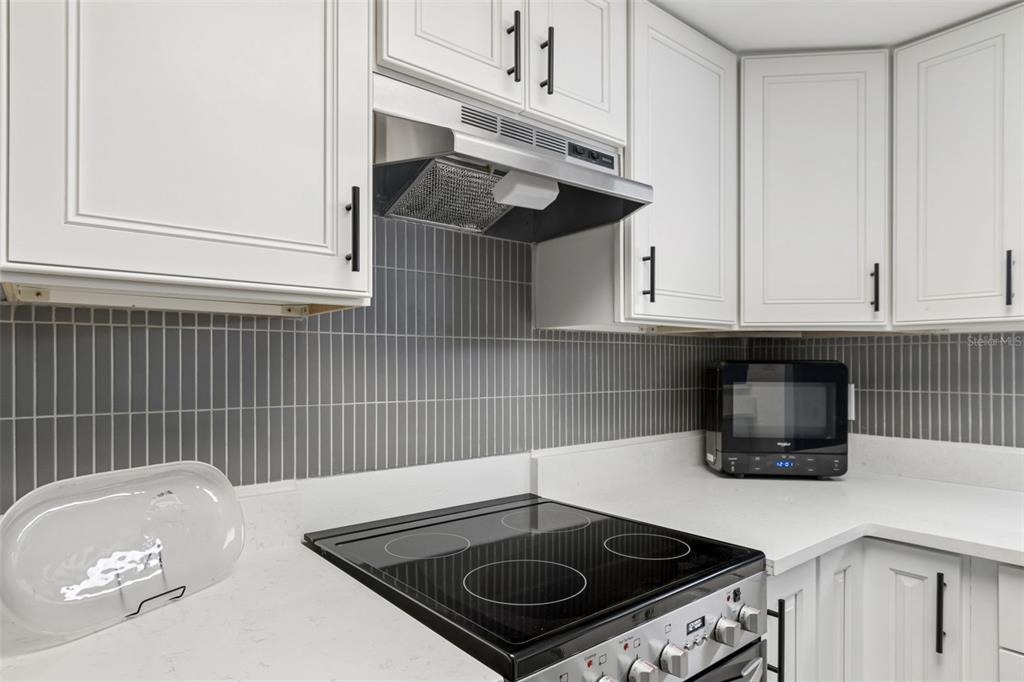 Plaza Seville Ct, Treasure Island, FL 33706 #1