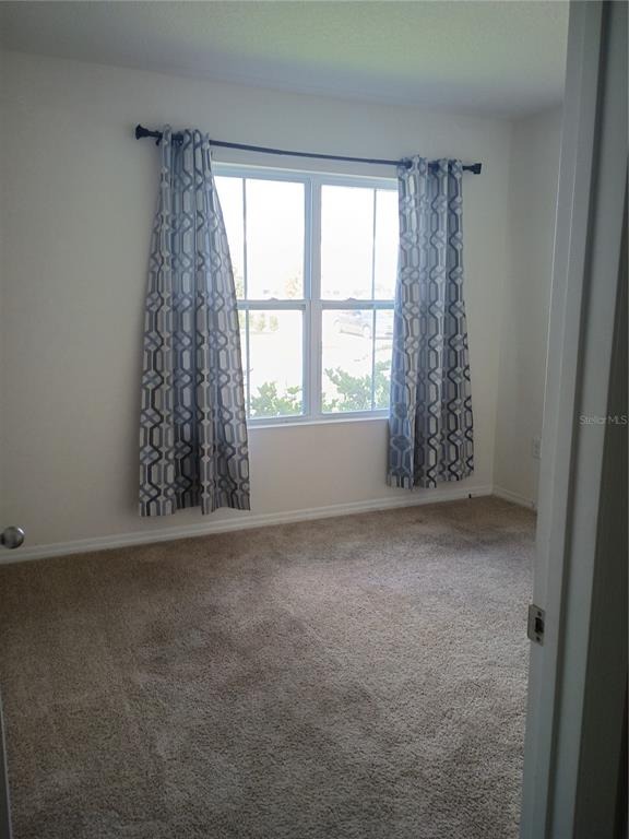 Rowan St, Tavares, FL 32778 #1