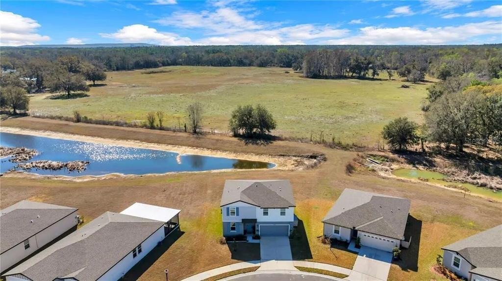 Forrest Plum Ct, Zephyrhills, FL 33540 #1