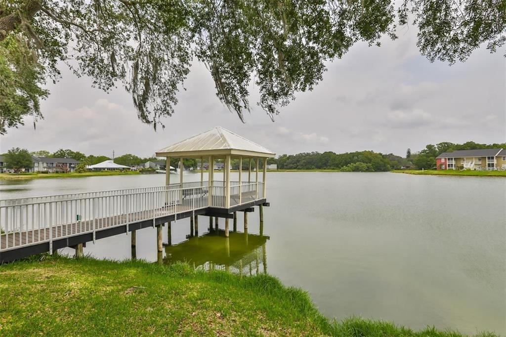 Lake Brook Cir, Brandon, FL 33511 #1