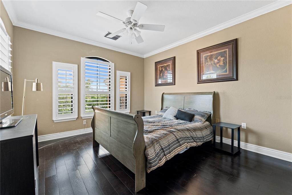 Via Cipriani , Clearwater, FL 33764 #1