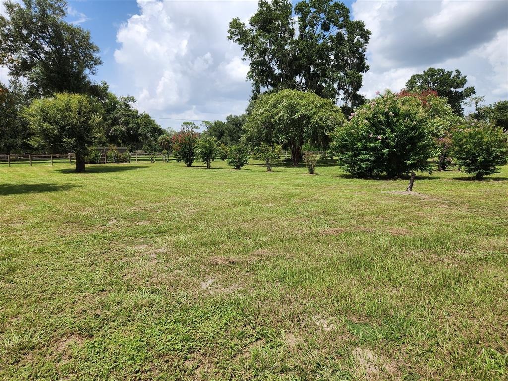 Powerline Rd, Lithia, FL 33547 #1