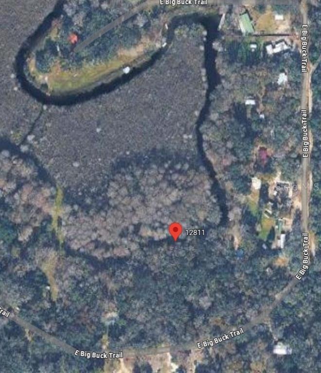 Big Buck Trl, Floral City, FL 34436 #1