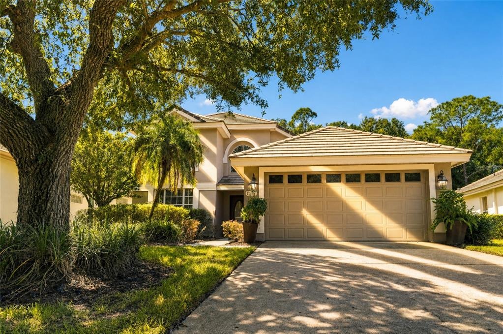 Nathans Dr, Tampa, FL 33647