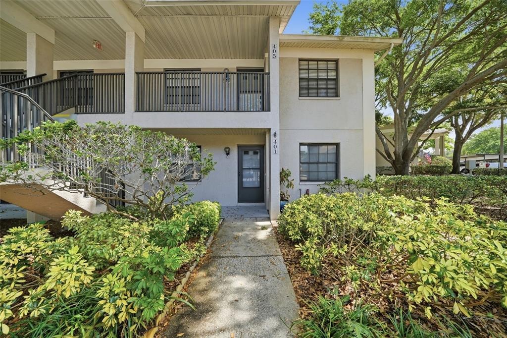 Elm St, Dunedin, FL 34698