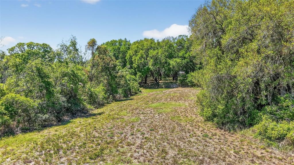 Whitney Rd, Leesburg, FL 34748 #1
