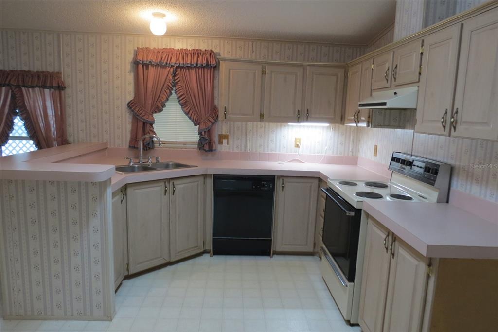 Jodi Ave, Zephyrhills, FL 33542 #1