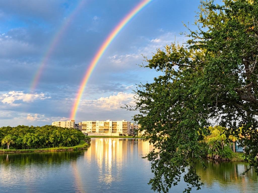 99th Way, Saint Petersburg, FL 33708