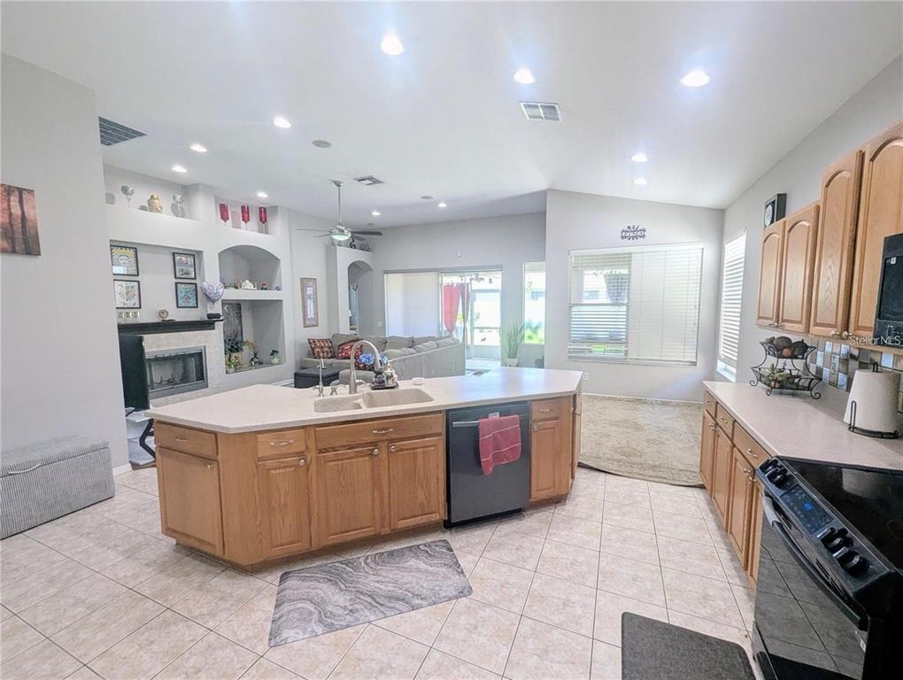 Blacksmith Dr, Tampa, FL 33626 #1