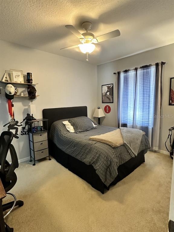 Green Park Cir, Tampa, FL 33626 #1