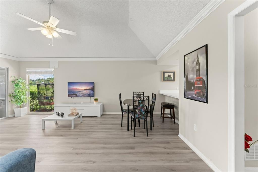 Villa Ln, Apopka, FL 32712 #1
