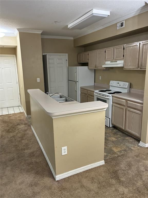 Pinnacle Heights Cir, Tampa, FL 33624 #1