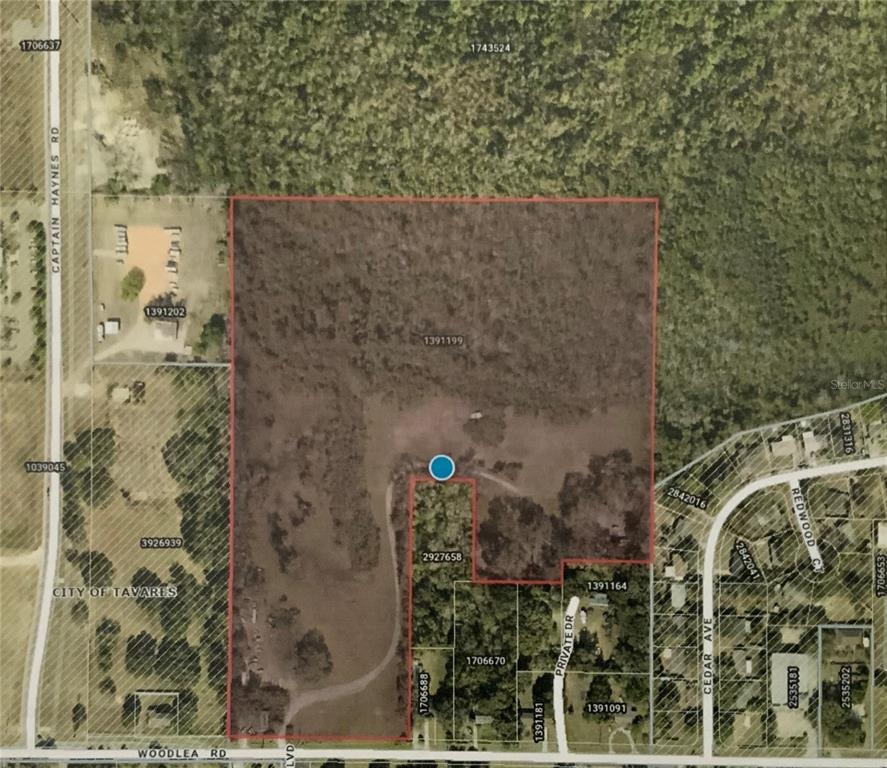 Woodlea Rd, Tavares, FL 32778