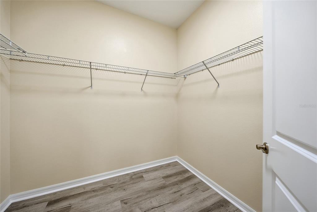 Candleberry Cir, Tampa, FL 33635 #1