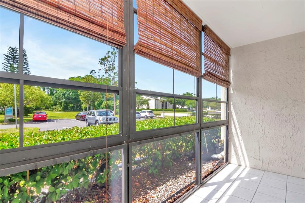 Lake Pine Way, Tarpon Springs, FL 34688 #1