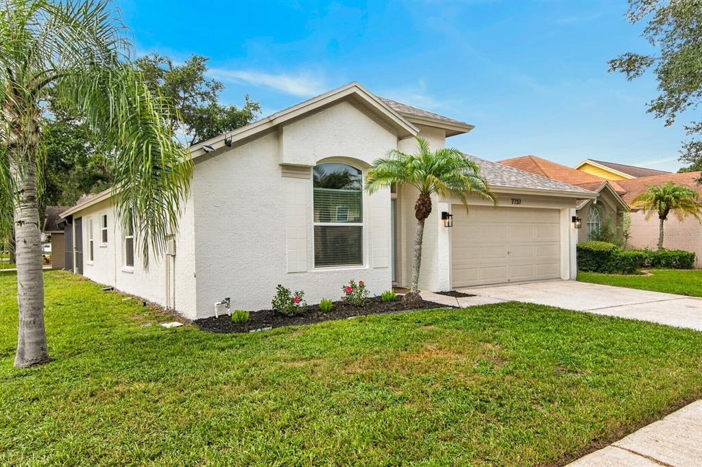 Marbella Creek Ave, Tampa, FL 33615