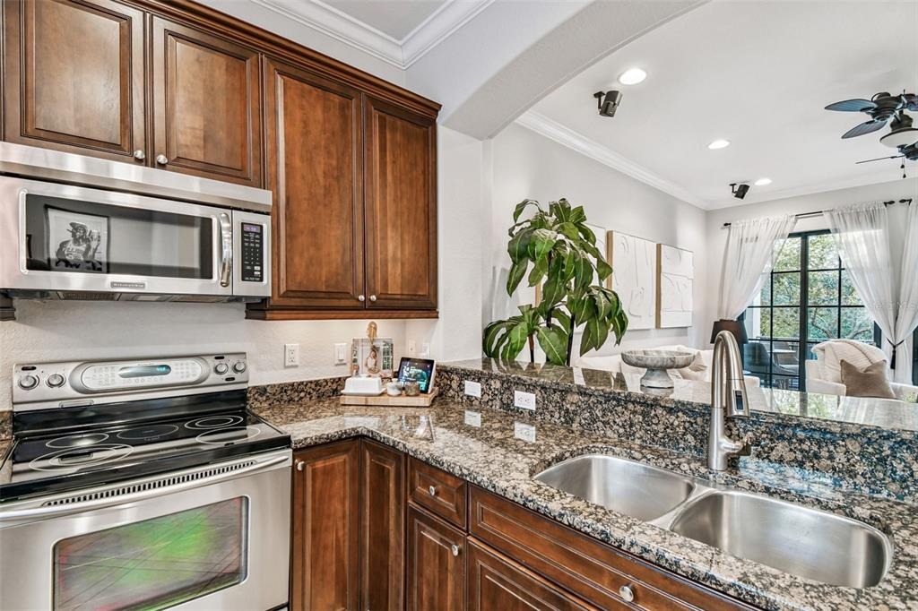 Printery St, Tampa, FL 33616 #1