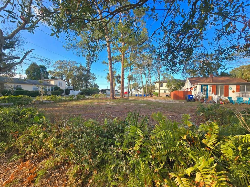 50th Ave, Saint Petersburg, FL 33703