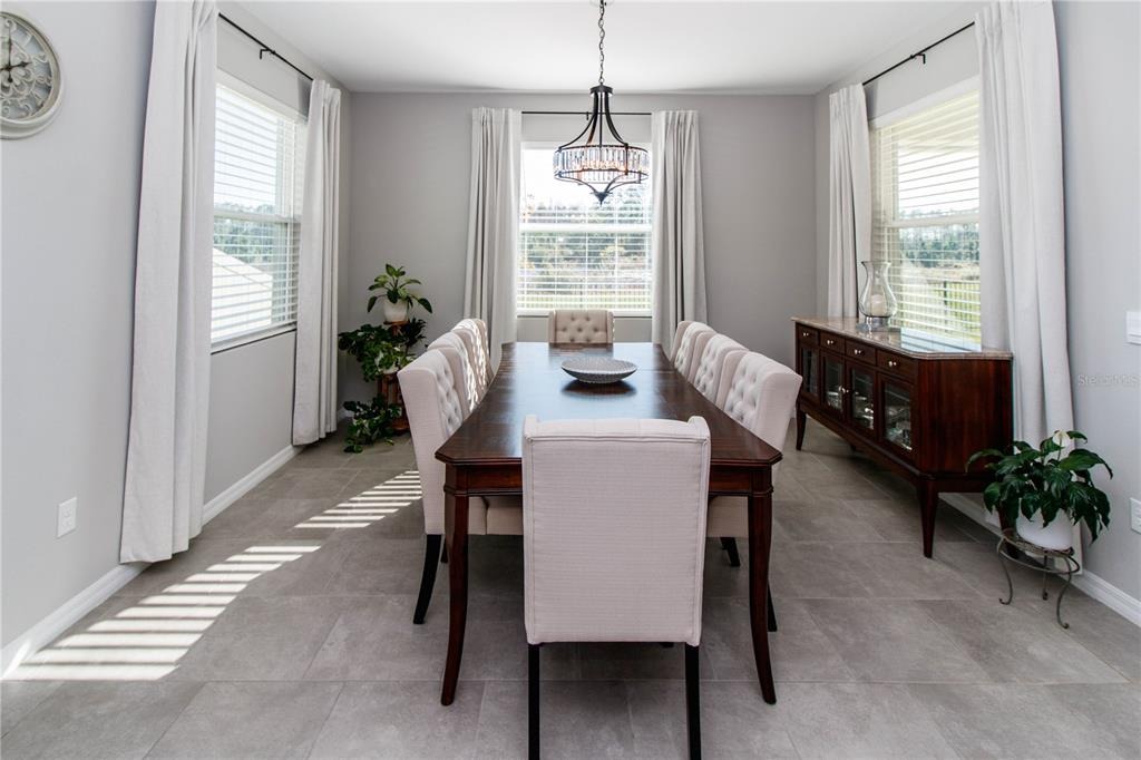 Broad River Ave, Land O Lakes, FL 34638 #1